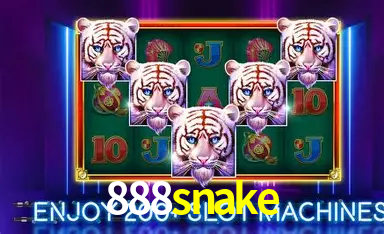 Explorando a Categoria de Eventos em Apostas na 888snake